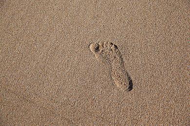 B站让用户卖隐私换会员？官方道歉：下线并整改